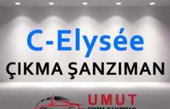 C-Elysée Çıkma Şanzıman