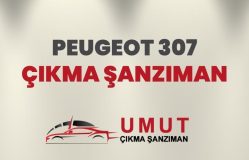 Peugeot 307 Çıkma Şanzıman