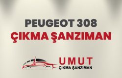 Peugeot 308 Çıkma Şanzıman