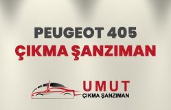 Peugeot 405 Çıkma Şanzıman