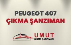 Peugeot 407 Çıkma Şanzıman