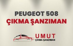 Peugeot 508 Çıkma Şanzıman