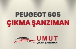 Peugeot 605 Çıkma Şanzıman